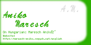 aniko maresch business card